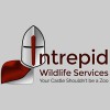 Intrepid Wildlife Services