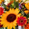 Blooming Artisan