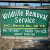 Wildlife Removal Service
