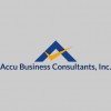 Accu Business Consultants