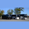 Galveston Shuttle
