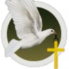 All By Grace Home Heath Care