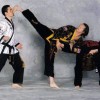 World Martial Arts Academy
