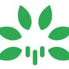 Walking Tree Technologies