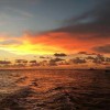 Naples Marina & Excursions