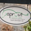 Sprout Therapeutic Riding & Education Center