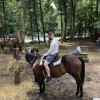 Lucky 7 Stables