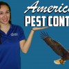 American Pest Control