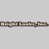Bright Looks Painting