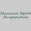 Mountain Spirit Acupuncture