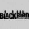Blackbird Media Group