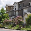 Al Fresco Landscape Management