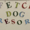 Fetch Academy & Dog Resort