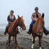 Ricochet Ridge Ranch