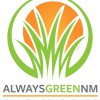 Always Green NM Synthetic Turf