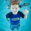 Small Fish Big Fish Swim School