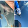 Auto Glass Medix