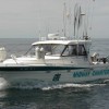 Midway Charters