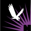 Nardizzi & Associates