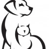 Stack Veterinary Hospital