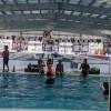 Nitro Swimming