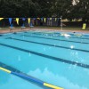 Stone's Crossing Swimming Club
