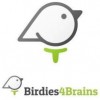 Birdies 4 Brains MN