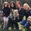 The Ozaukee Pet Nanny