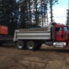 Elbo Backhoe & Hauling