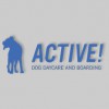 Active! Dog Daycare & Boarding