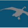 Migration Risk Management
