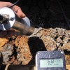 TGE Resources