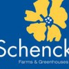 Schenck Nursery & Landscape
