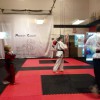 Premier Karate
