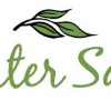 Sister Sage Herbs