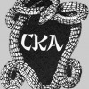 California Karate Academy