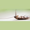 EcoPro Services