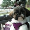 North Bend Animal Clinic