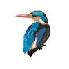 Realbird