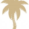 Coastal Chiropractic