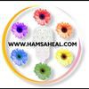 Hamsa Heal