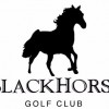 Blackhorse Golf Club Teaching