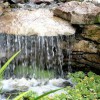 Plant A Plant Landscape