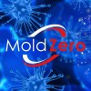 Mold Zero Services