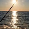 Boston Fish Tales