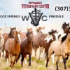 The Pet Resort At Sweetwater Stables
