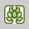 Costello's Tree Service