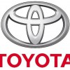 Todvt