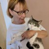 Portage Park Cat Sitter
