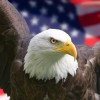 American Marketing Administrators